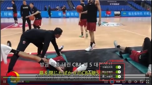 Subtitle control menu