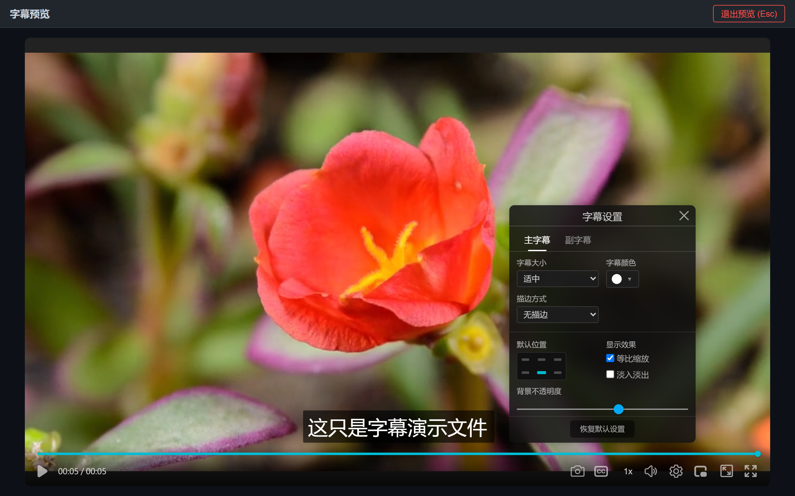 字幕样式设置