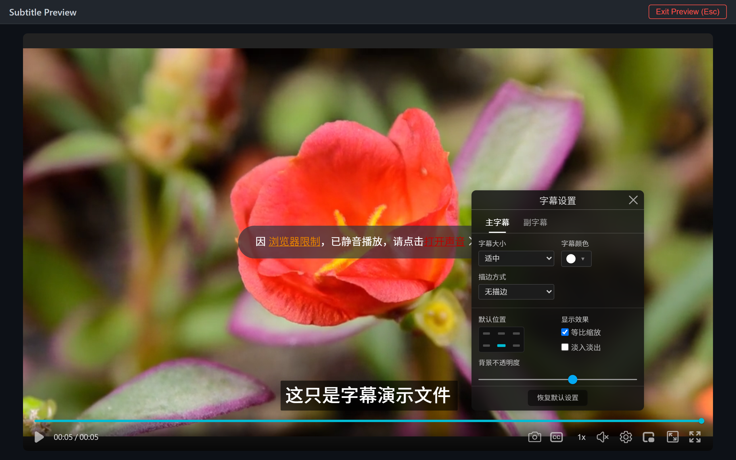 Subtitle style settings