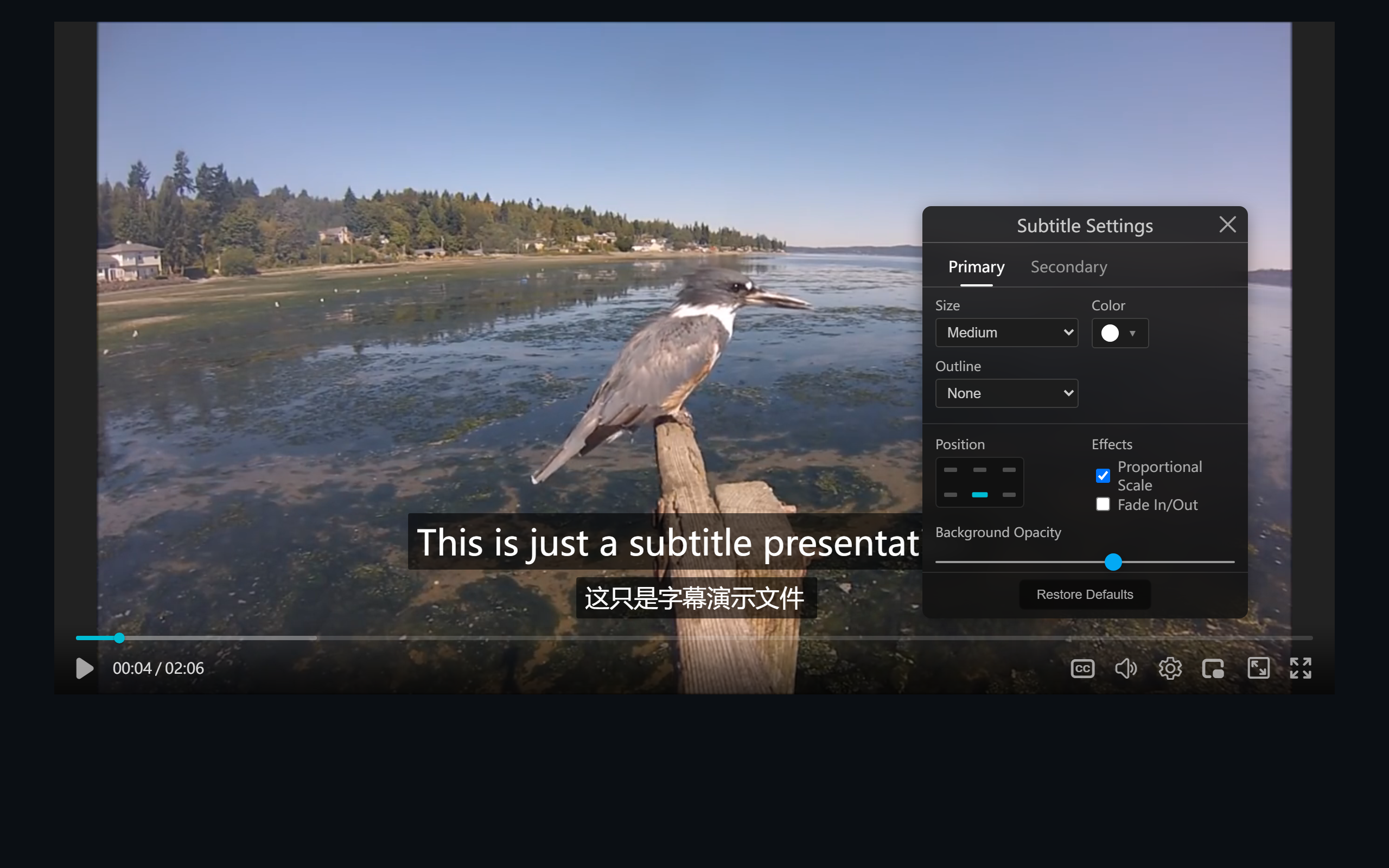 Subtitle style settings