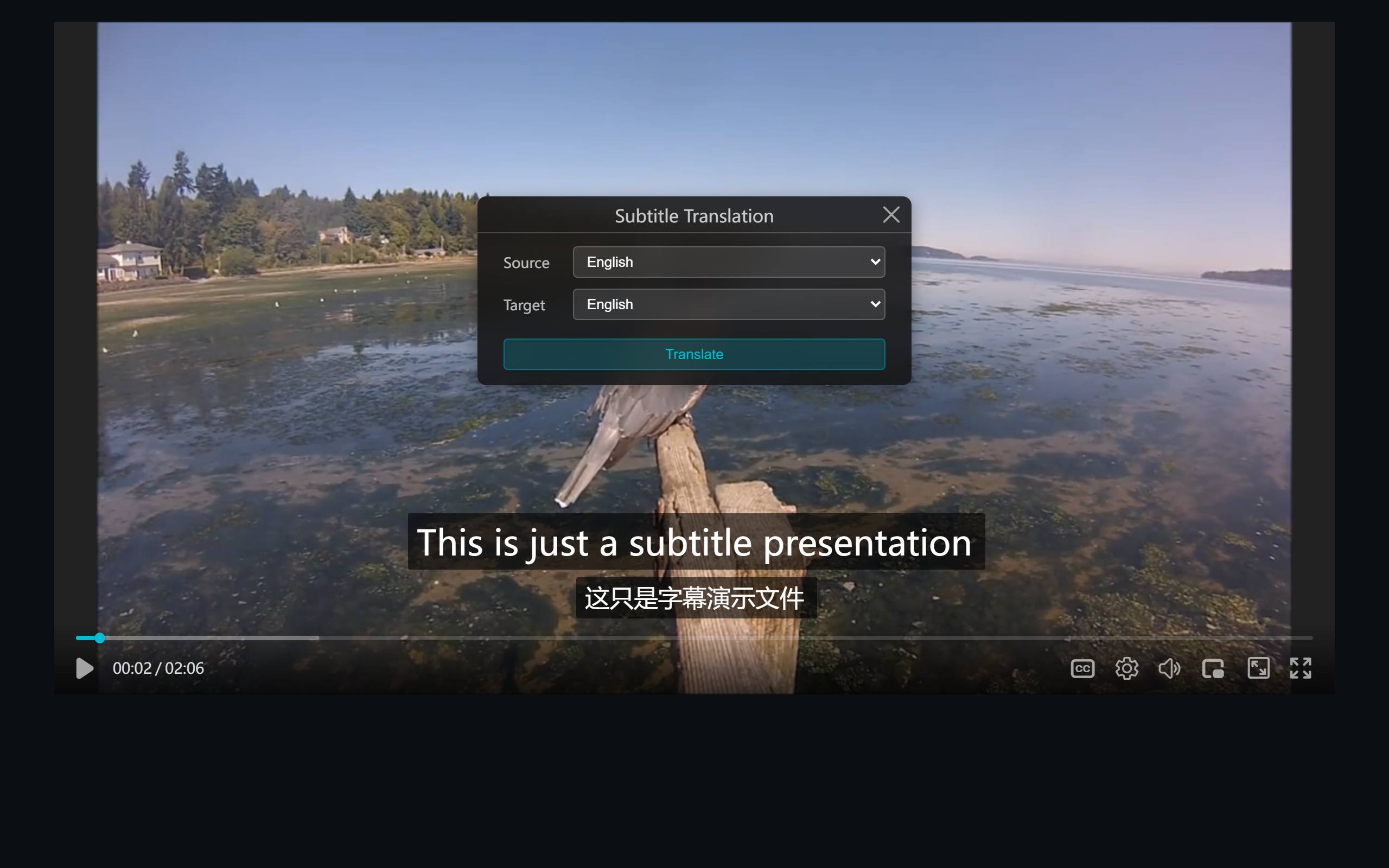 Subtitle translate panel